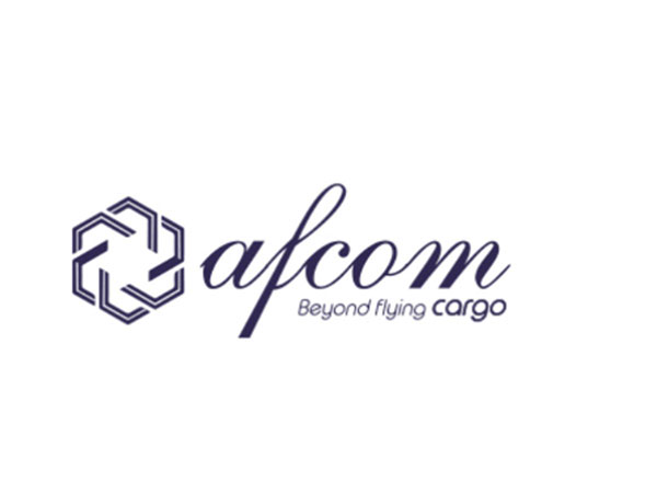 Afcom Holdings: From IPO to Scheduled Flights – Charting India's Cargo Future
